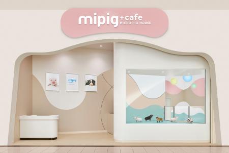 【満員御礼】東北・仙台初上陸「mipig cafe イオンモ