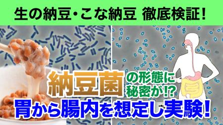 【独占映像】7月10日は納豆の日！生の納豆 vs こな納