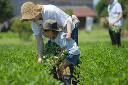 新鮮な落花生を存分に味わい尽くす特別な1日！！~Bocc