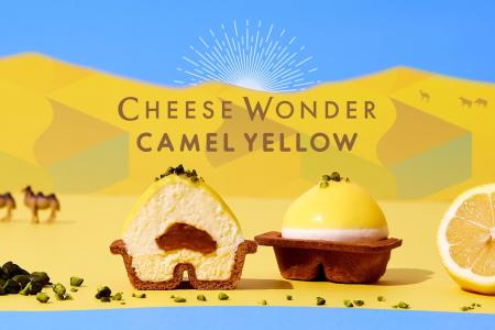 【ひんやりスイーツ】北海道発・生チーズケーキ「チー