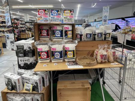 清掃・ペット・アウトドアの“困った”をサッと解決する