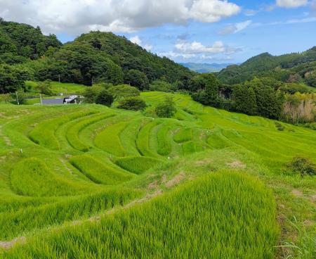 農林中央金庫 と 公益財団法人日本自然保護協会の連携