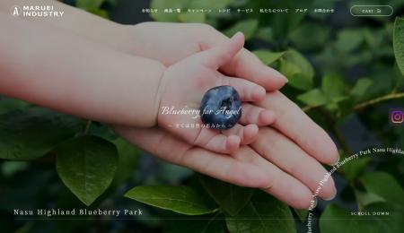 【Nasu Highland Blueberry Park】那須高原の大utf-8