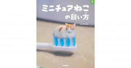 【あまりの可愛さに猫好き大興奮!?】「パンダの穴BOOK