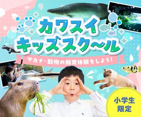 【日本唯一*の水族館直営スクール】小学生向け「体験