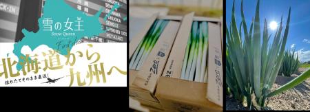 マイナビ農業、農作物の流通体制の新モデル構築に向け
