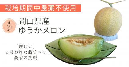西日本初【栽培期間中農薬不使用】“ゆうかメロン”本格