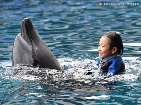 夏限定開催　イルカと泳ごう！『Swimming with Dolphi
