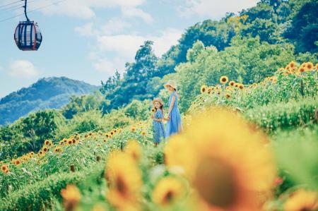 「きっと忘れない夏GARDEN FEST 2025-Summer-」がスタ
