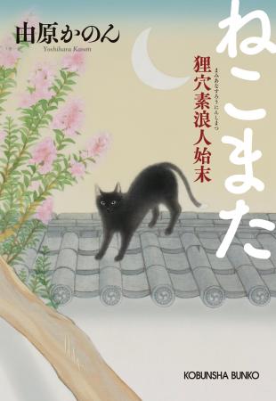 続編を待ち望むファンに朗報！　江戸もののけ譚『ねこ