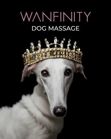 上質なドッグマッサージを提供するWanfinity、飼い主