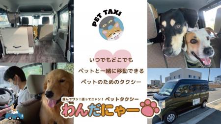 ＼社会課題をビジネスで解決／わんだにゃー株式会社、
