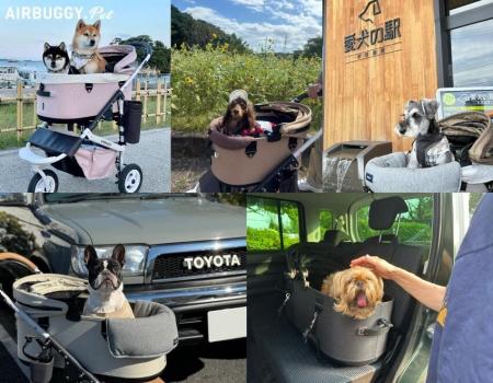 愛犬との旅行に役立つ！旅の主役は“移動時間”だった。