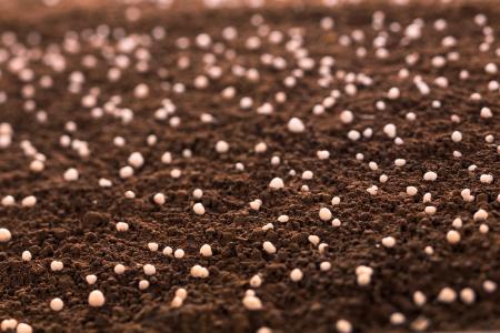 BASFと雲天化、安定化尿素肥料の使用による温室効果ガ