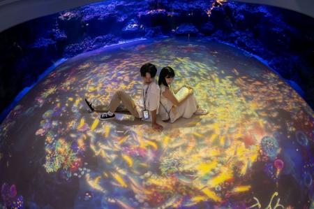 台湾の都市型水族館「Xpark」に、ネイキッドが演出を