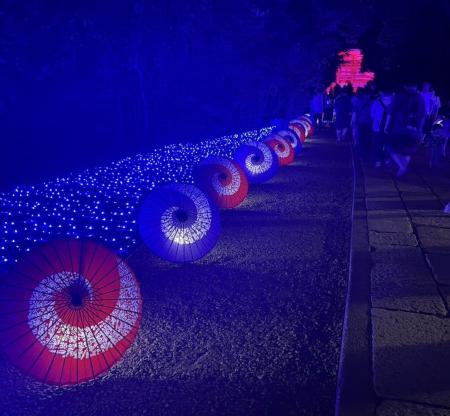【埼玉・武蔵一宮氷川神社】和傘110本とLED2.5万個で