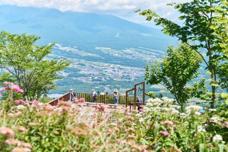 涼と花の頂へ。入笠山の“涼眺百花（りょうちょうひゃ