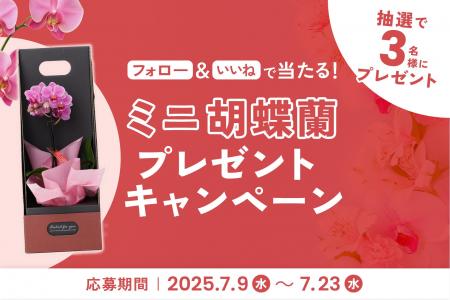 「ミニ胡蝶蘭」が当たるプレゼントキャンペーンを2025