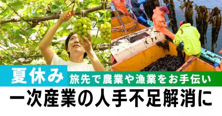 【夏休み】生産者として働いて