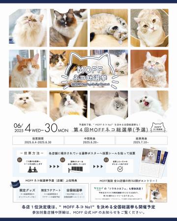 総勢760頭に及ぶ、第4回「MOFF ネコ総選挙」の予選結