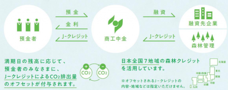 適切な森林管理と温室効果ガス吸収量増加を支援　約10