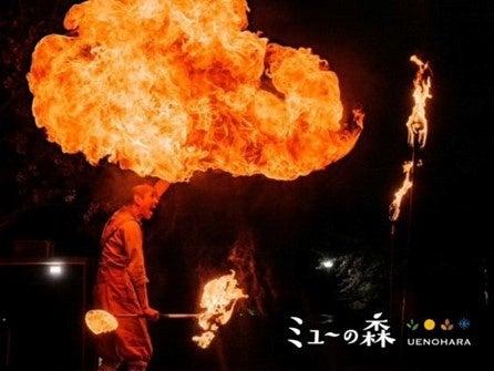 【山梨グランピング ミューの森】夏休み特別ナイトシ