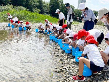 多田地区の小学生・幼稚園児がアユの稚魚を放流 / 兵