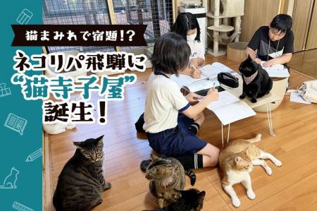 「猫まみれで宿題！？」ネコリパ飛騨に“猫寺子屋”誕生