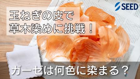 シード社員による子ども向け理科実験教室「草木染めに