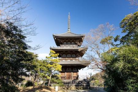 本牧の丘から横浜の街を見守る　三溪園のシンボル「重