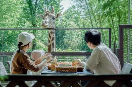 ［千葉県］動物園×グランピングの「THE BAMBOO Futf-8