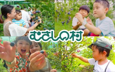 【遊園地むさしの村】遊園地でブルーベリー狩りを楽し