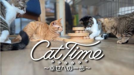 インストゥルメンタル音楽「Cat Time ～幸せへの一歩