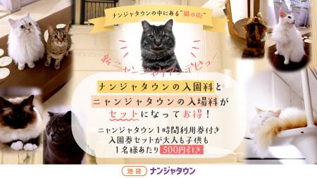 ナンジャタウンにある猫の街に新しい仲間が登場！ 「
