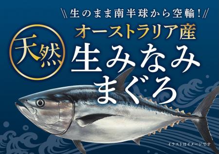 「オーストラリア産 天然生みなみまぐろ」を２１９店