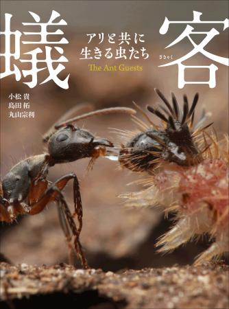 新種・新発見・決定的瞬間多数！　世界で類を見ない昆