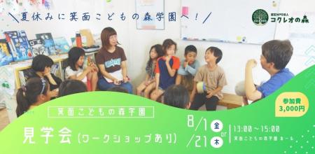 オルタナティブスクール　箕面こどもの森学園　夏の見