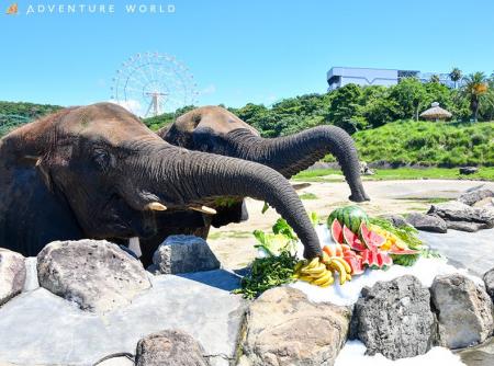 暑さを吹き飛ばすCOOLなご褒美！「大暑の日」アフリカ