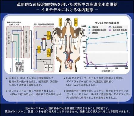 透析患者のQOL 向上に新たな光、副作用を抑える革新的