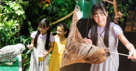 【DMMかりゆし水族館】生きものたちとふれあえる新エ
