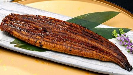 話題の「めすうなぎ 蒲焼き」のお取り寄せは、豊洲市