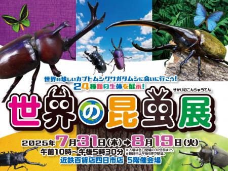 【近鉄百貨店 四日市店】昆虫たちと間近で観察しutf-8