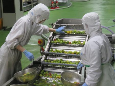 白鶴酒造株式会社も、半世紀近くにわたって、こだ...