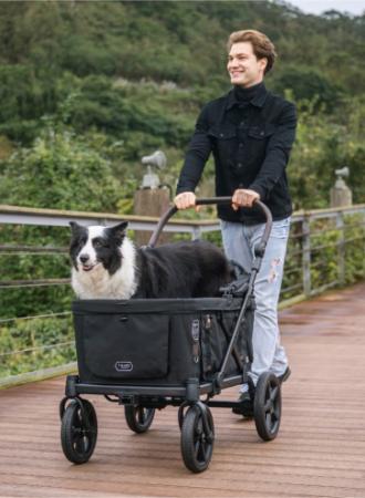 長い夏に大型犬を歩かせない選択！ブランド初のutf-8