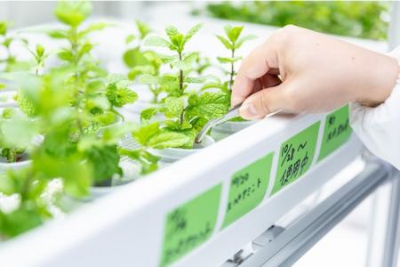 スタートライン、屋内農園型障害者雇用支援サービス「