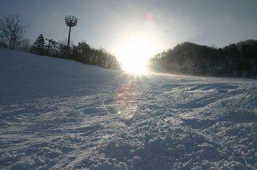 「資源循環型」の養鶏事業が話題