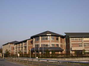 障害者雇用:内定取消し深刻さ増す