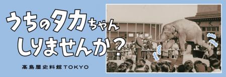【高島屋史料館TOKYO】うちのタカちゃん 知りませんか