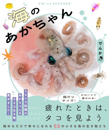 【自由研究にも大活躍】疲れたときに癒される！指先ほ