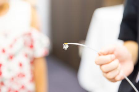 中高生親子向け「カテーテル医療体験教室」を池袋で開